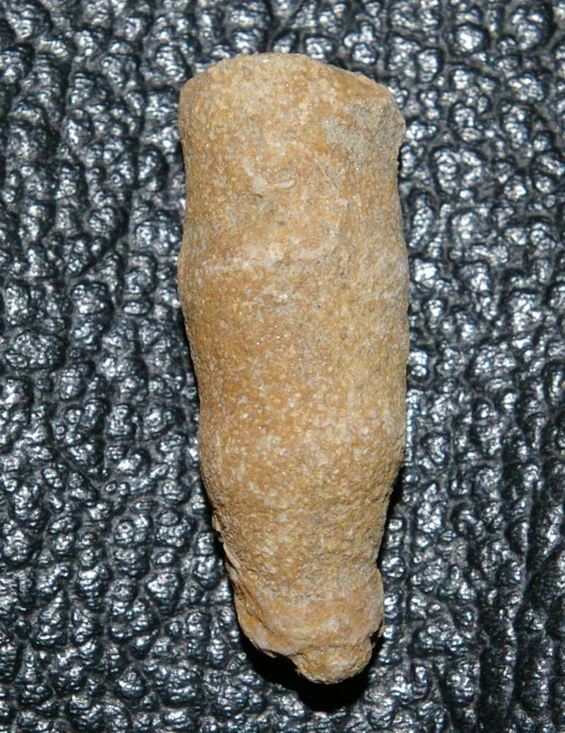 photos/sp11.jpg