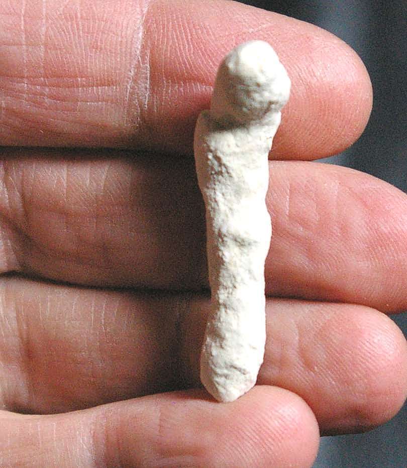 Fossil sponge